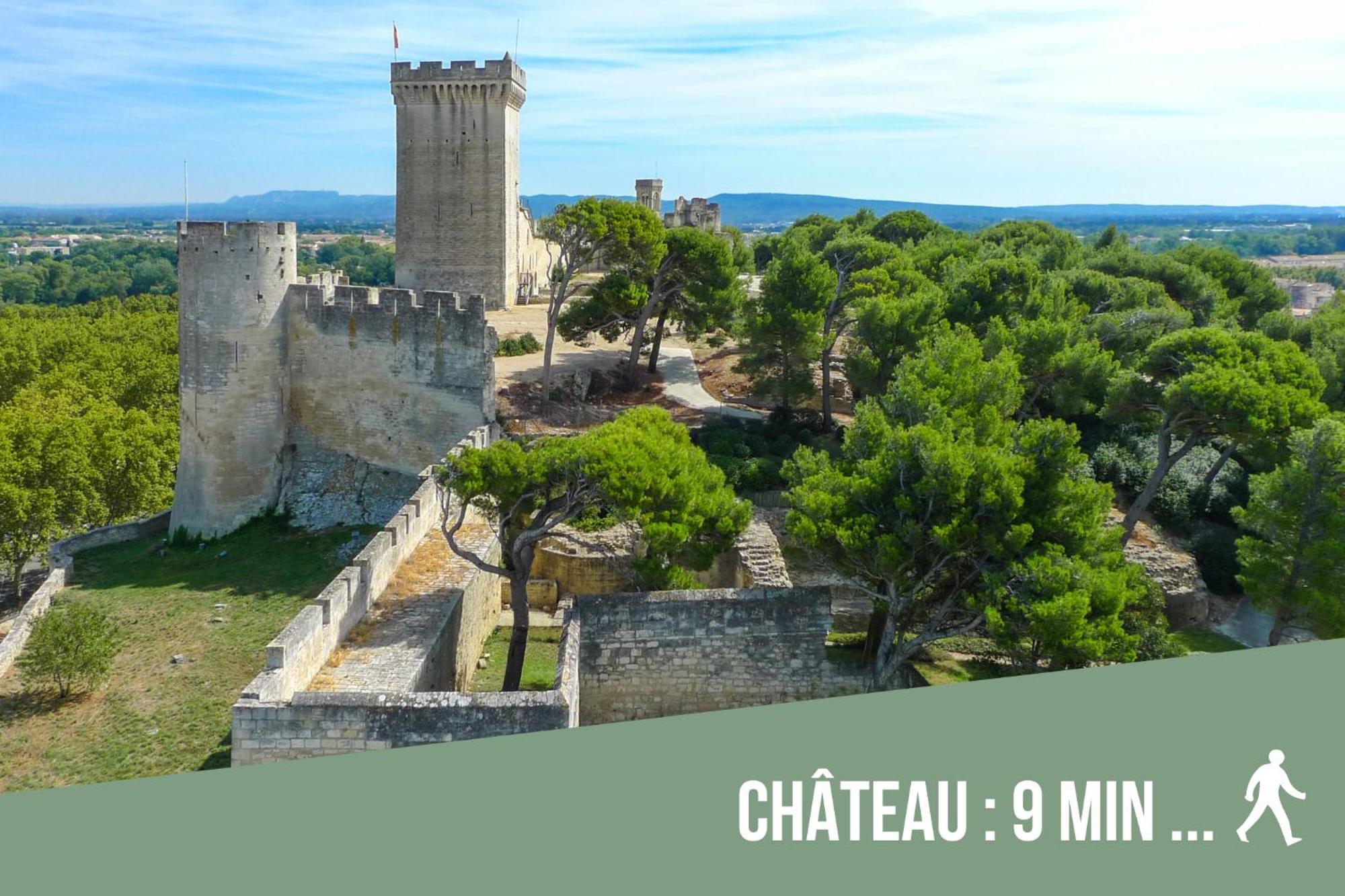 * * * Donjon Du Bijoutier * * * Wifi+clim+terrasse Beaucaire (Gard)